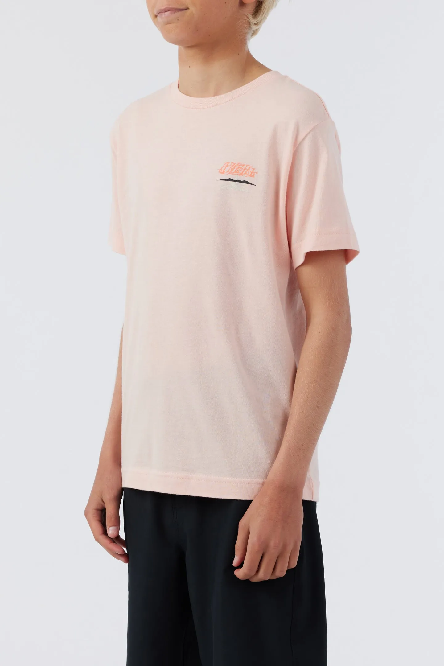 HIGH POINT TEE