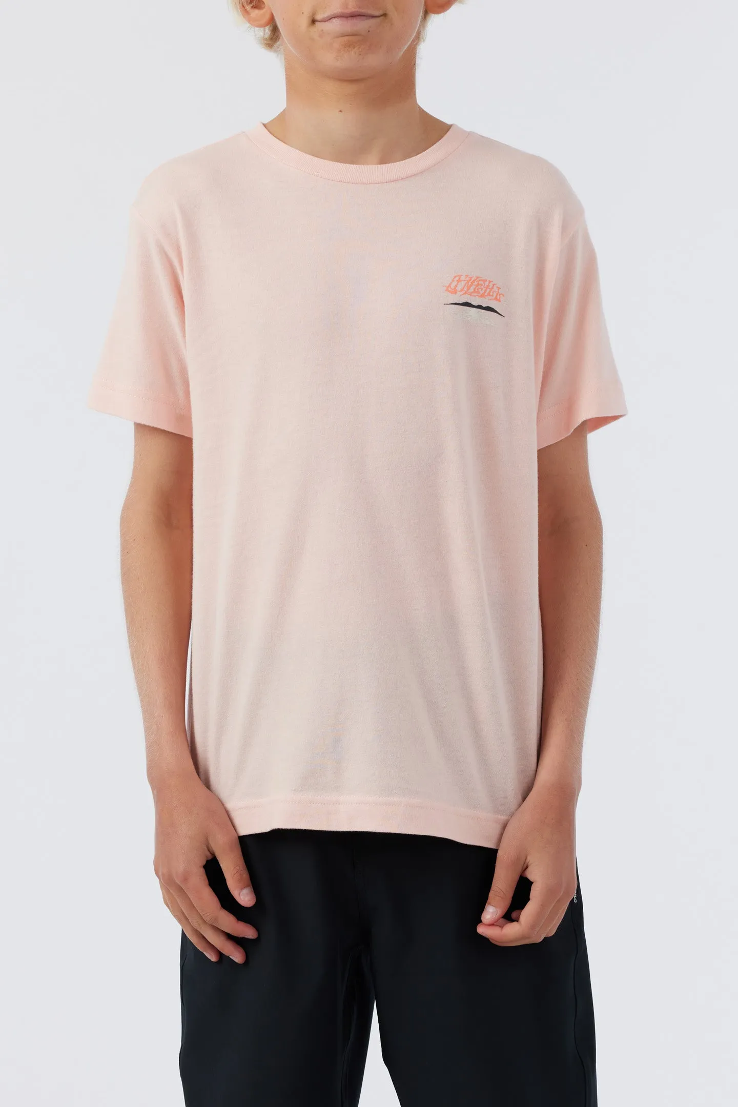 HIGH POINT TEE