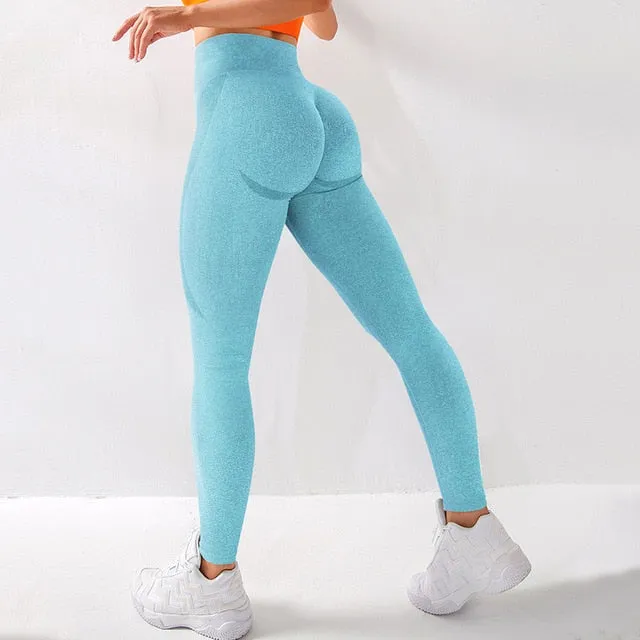 Seamless Legging Yoga Pants