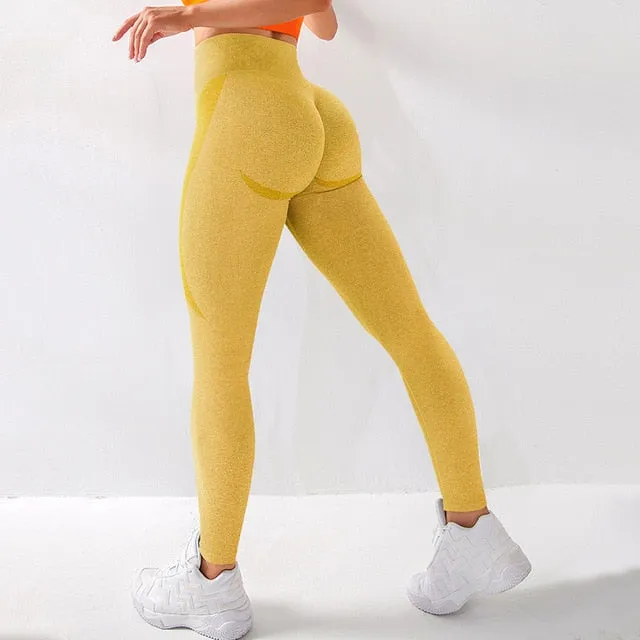 Seamless Legging Yoga Pants