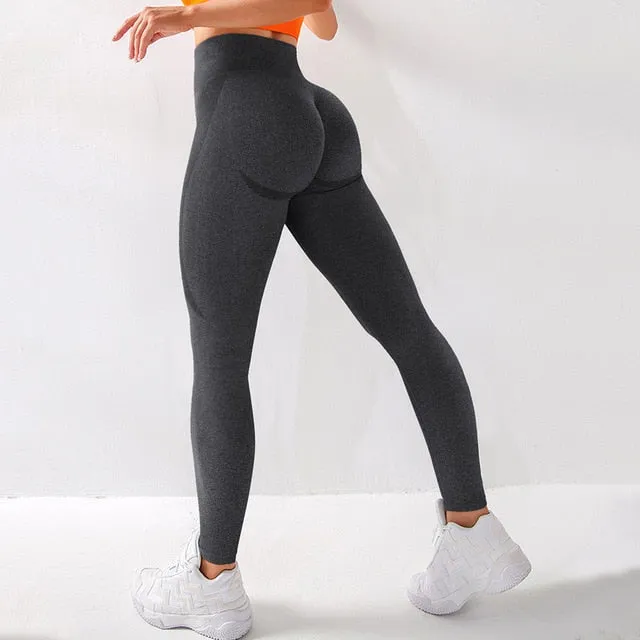 Seamless Legging Yoga Pants