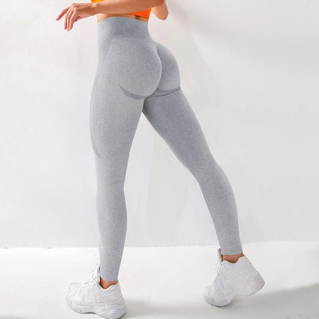 Seamless Legging Yoga Pants