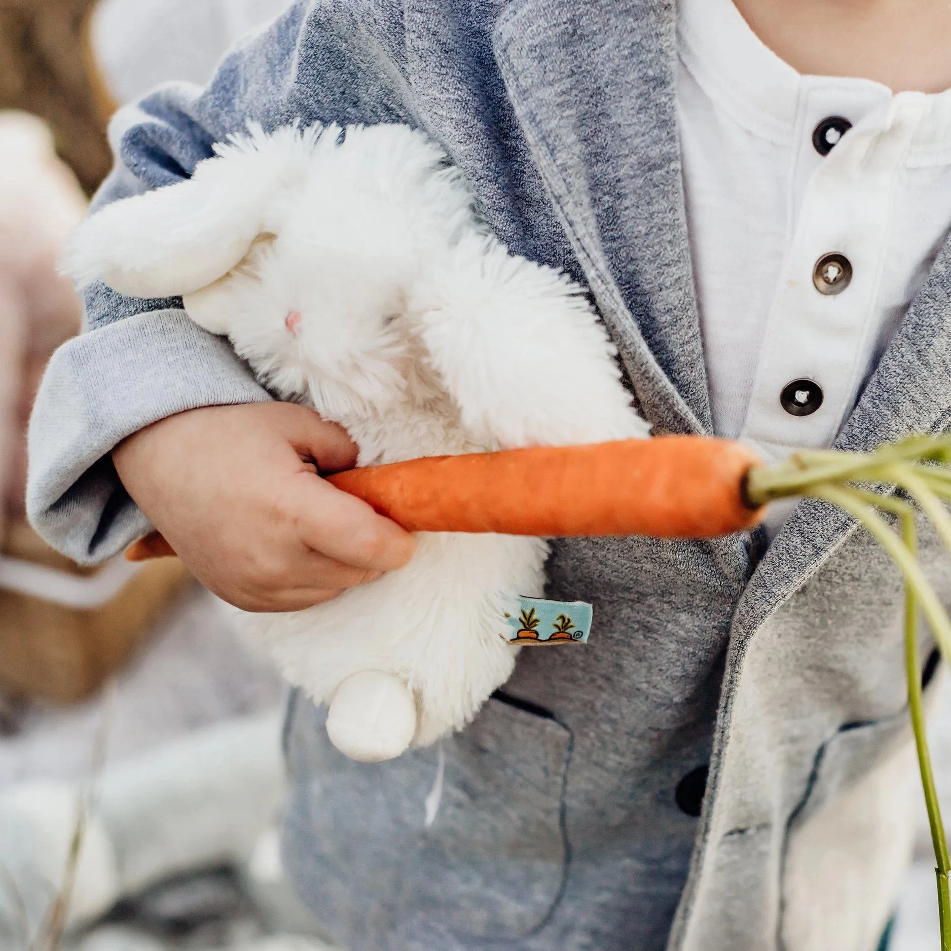 WEE ITTYBIT BUNNY